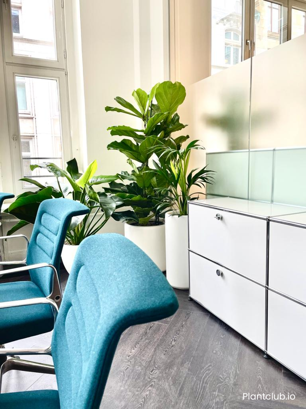  The Oakfin office fitted with a lush green corner. 