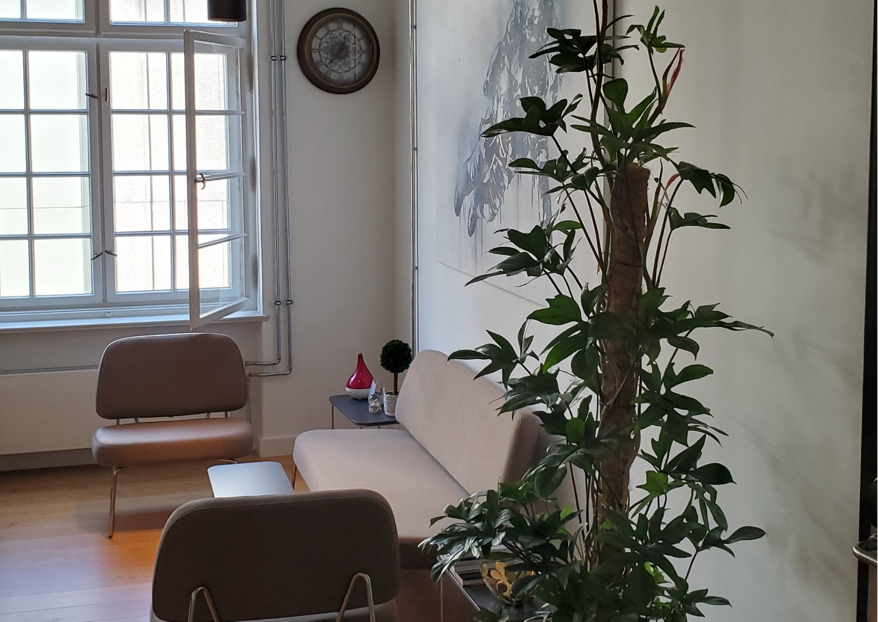  Potted plants give BSBI's Berlin workplace a cosy feel. 