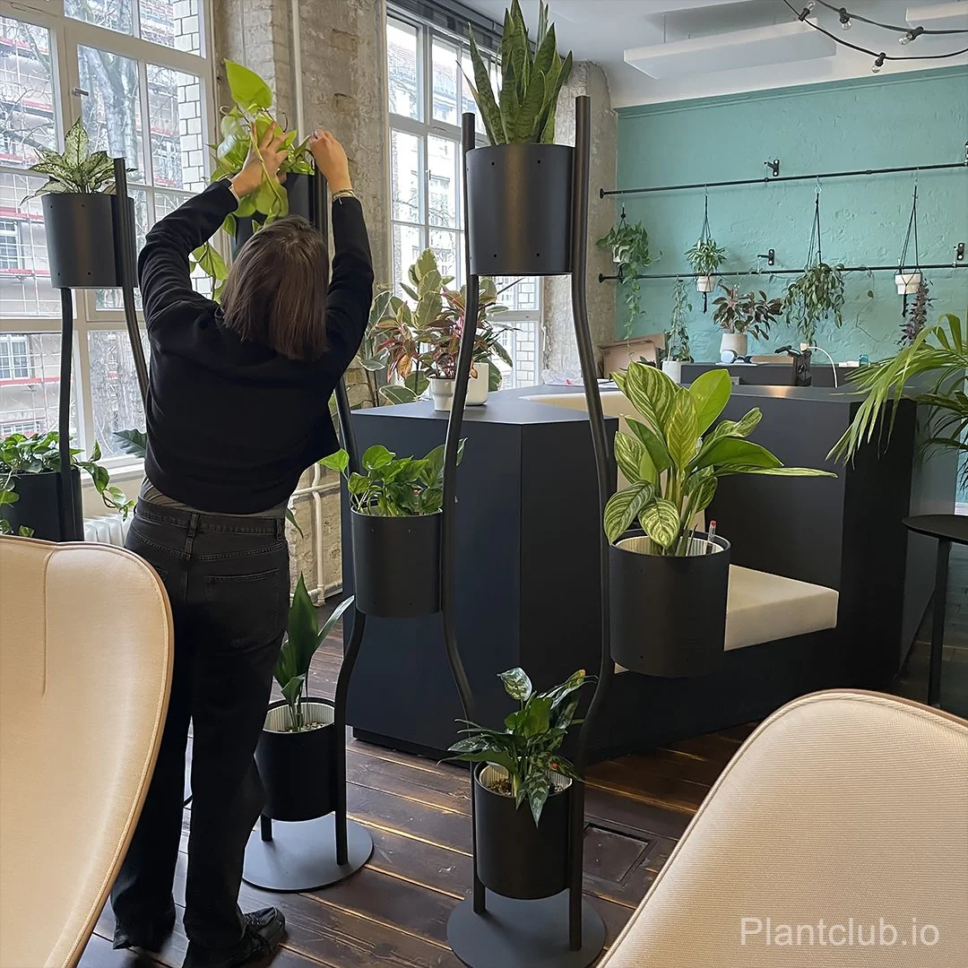  Brunner-group divider completed with Plantclub greenery 