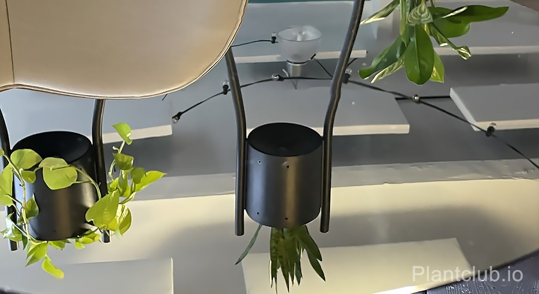 Reflection on a metallic table of some plants on a divider