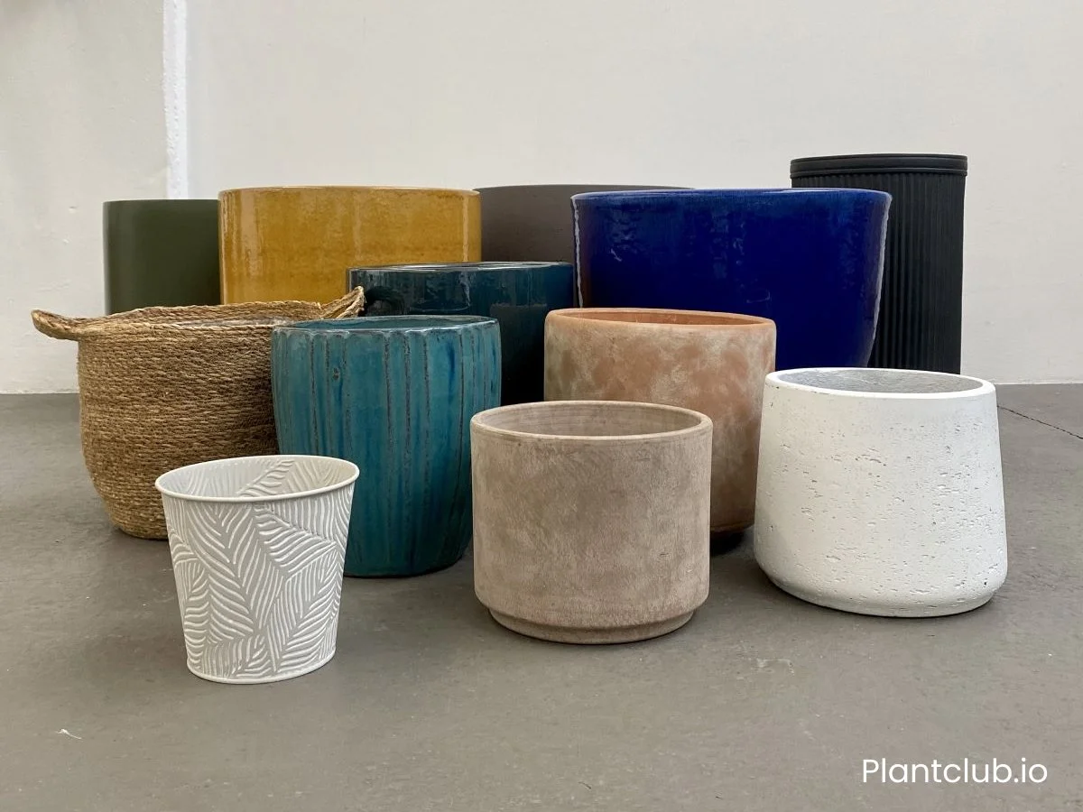  There’s a lot of choice when it comes to pots and planters! 