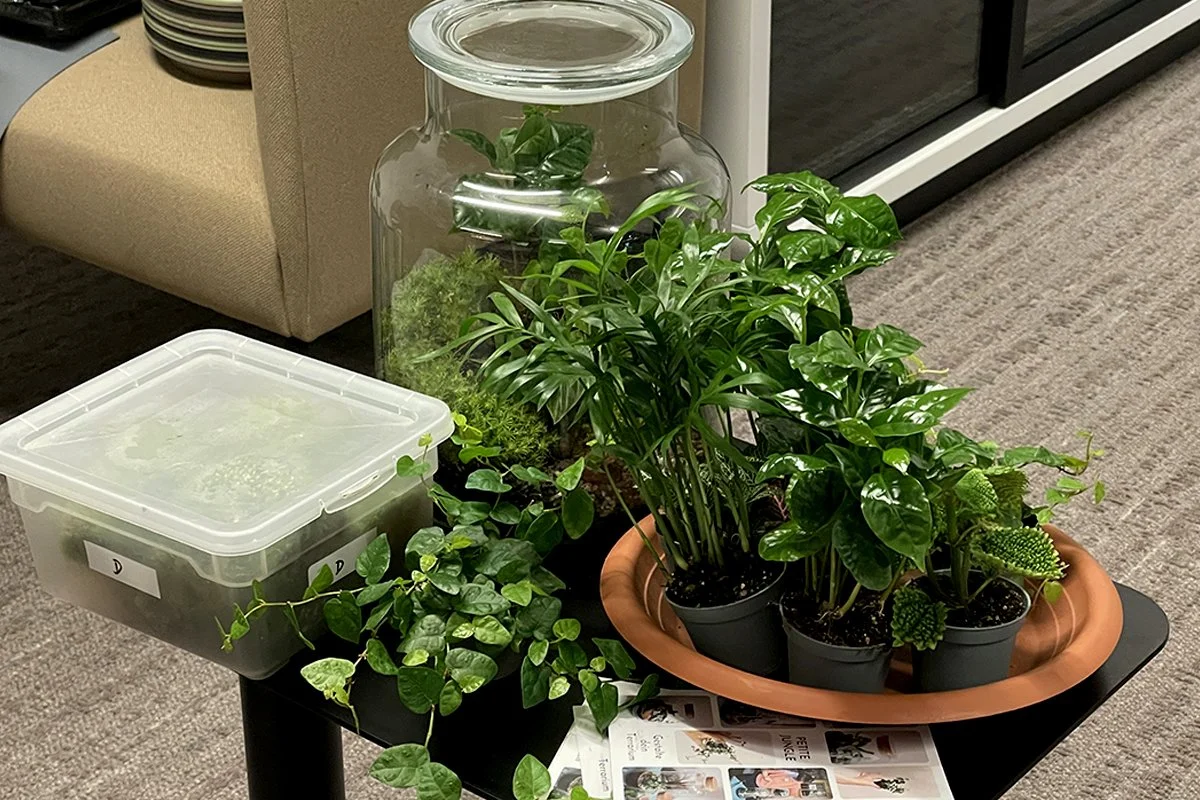  Everything you need to grow your own little world. 