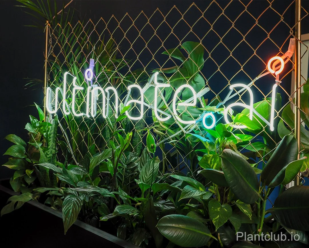  Custom greenery and branding in collaboration with Sygns 