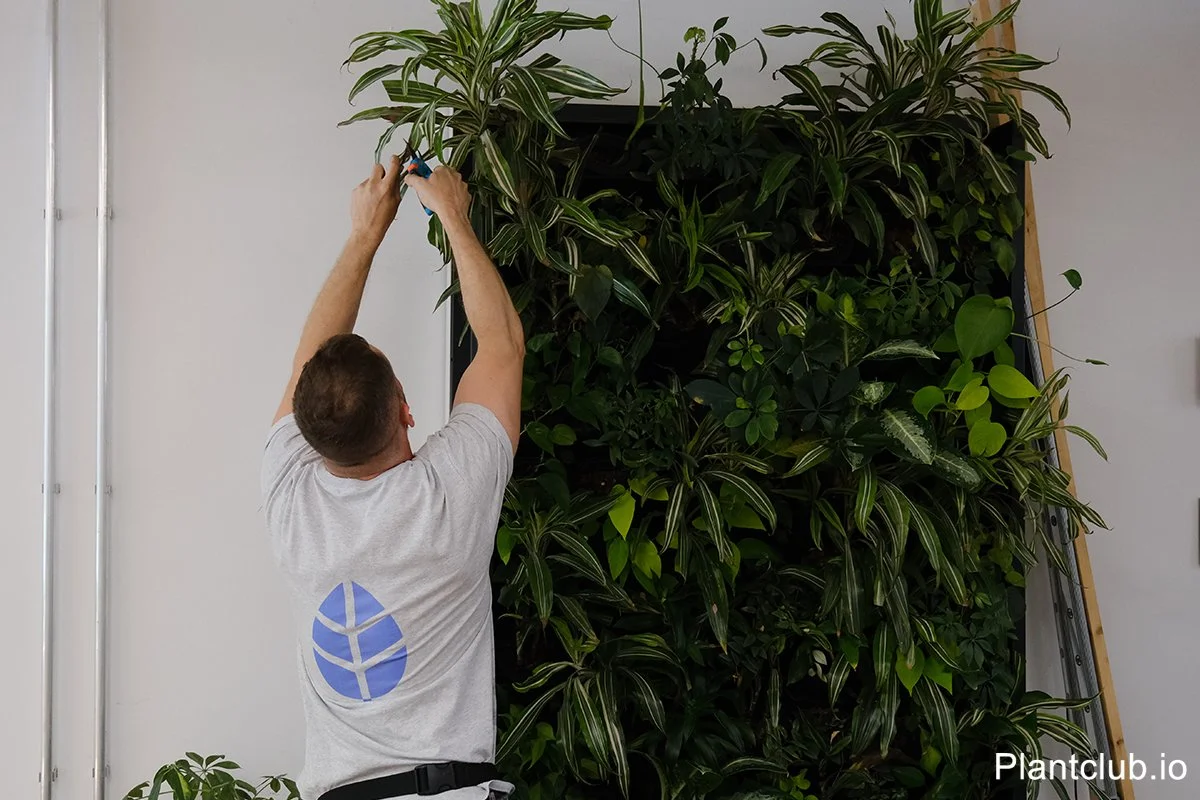  Ensuring every plant thrives, no matter how high it hangs. 