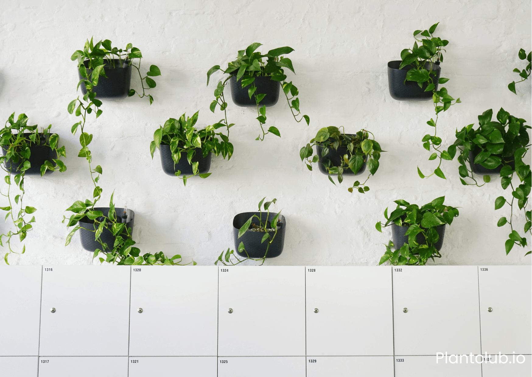  Vertical planters draw attention by contrasting with the wall. 