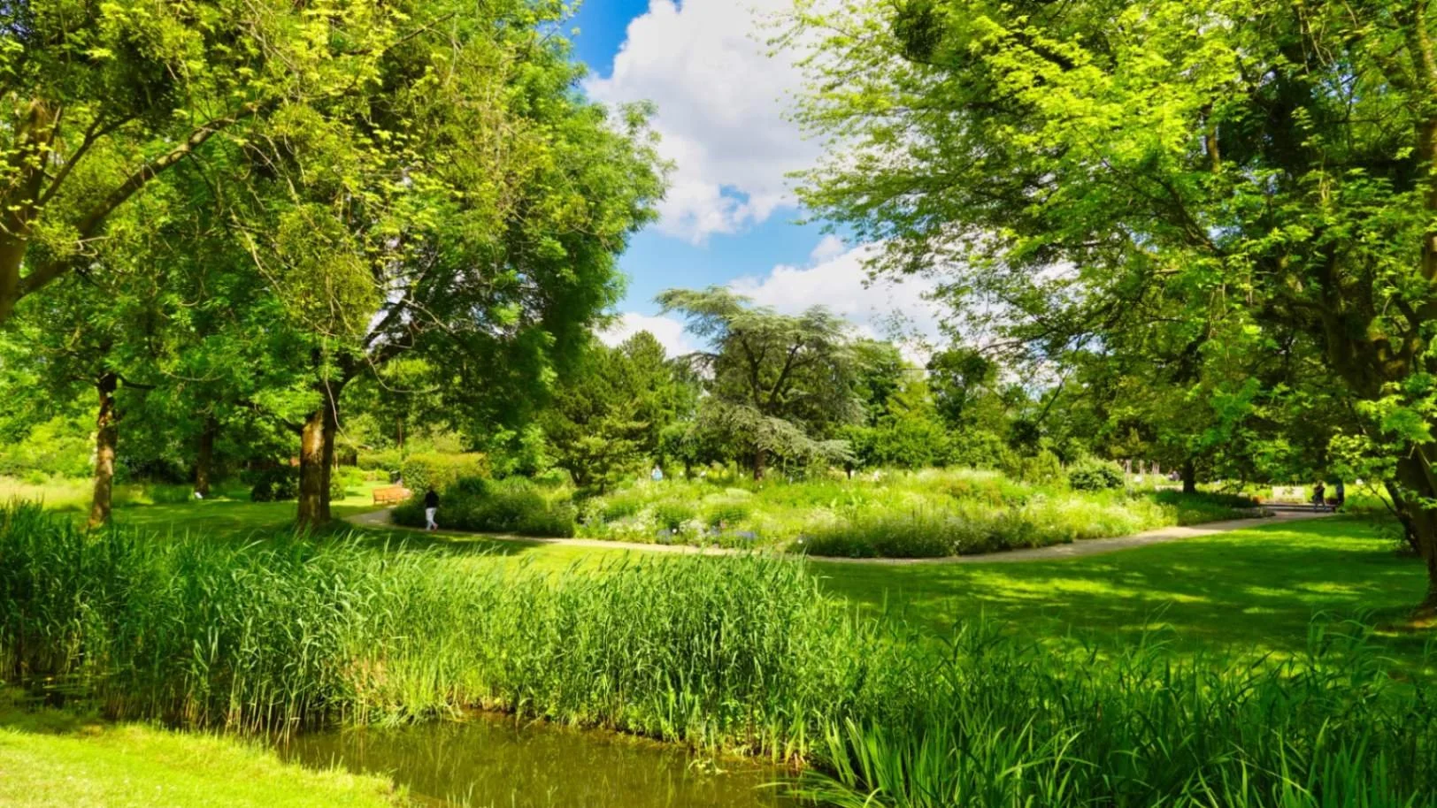  You may be lucky and spot some owls and woodpeckers at Jenischpark. 