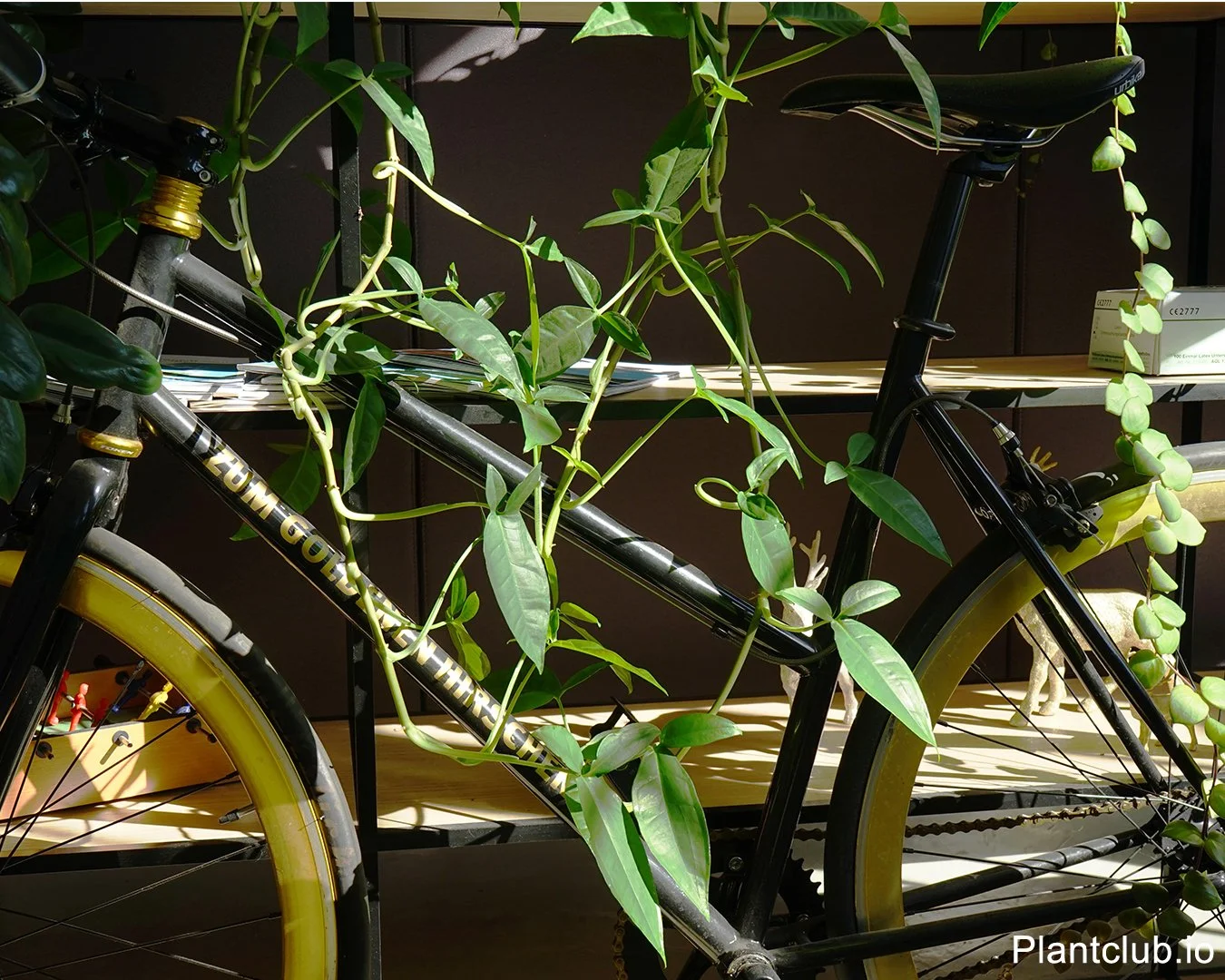  Custom greenery for-thriving team at Zum goldenen Hirsch Berlin 