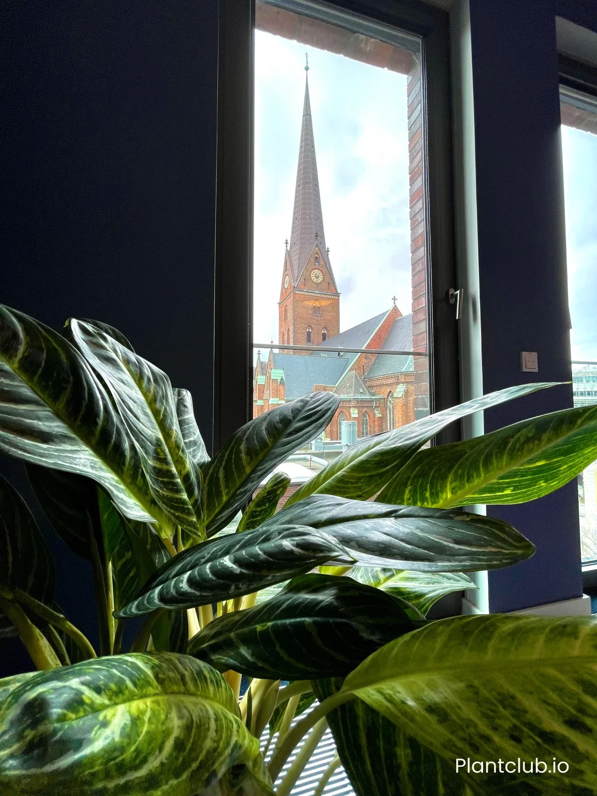  A view of the red-bricked heart of Hamburg from ParshipMeet Group’s newly renovated office.  