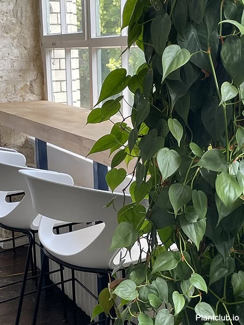  Greener Shared Space – Tailored design at Ultimate 
