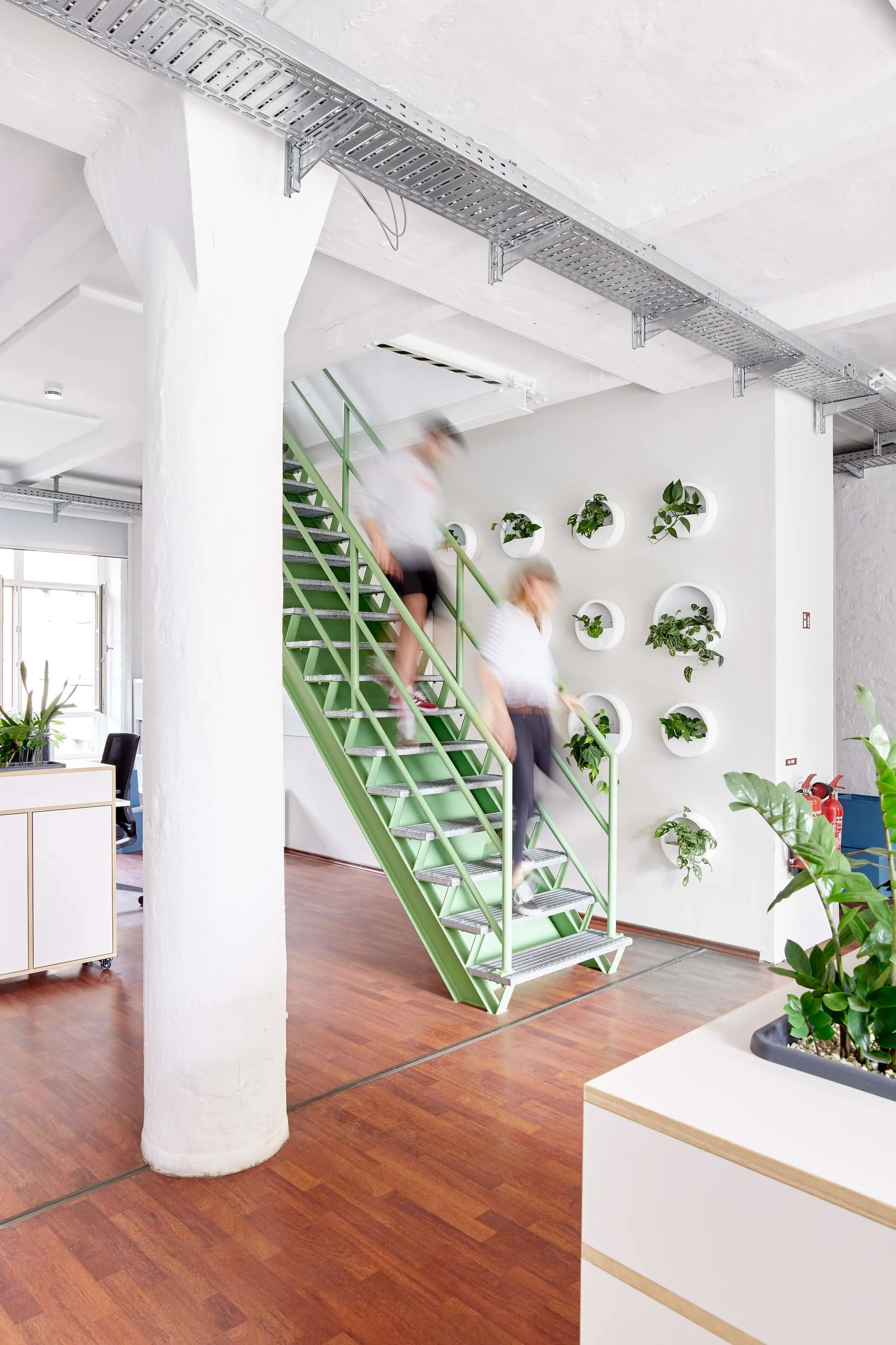  Decorative wall planters in the  Thalia  Berlin office. 