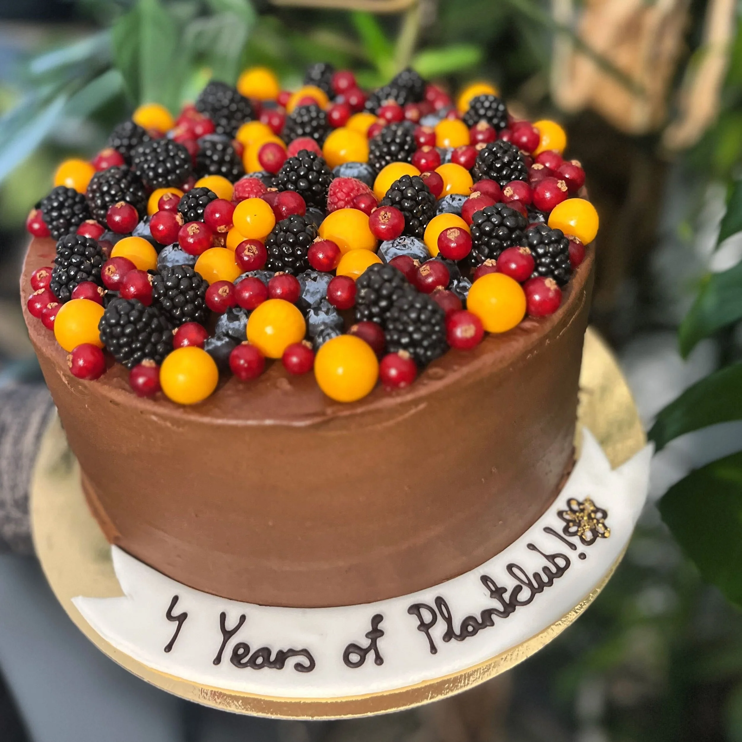 A Green milestone: celebrating Plantclub's 4th birthday!