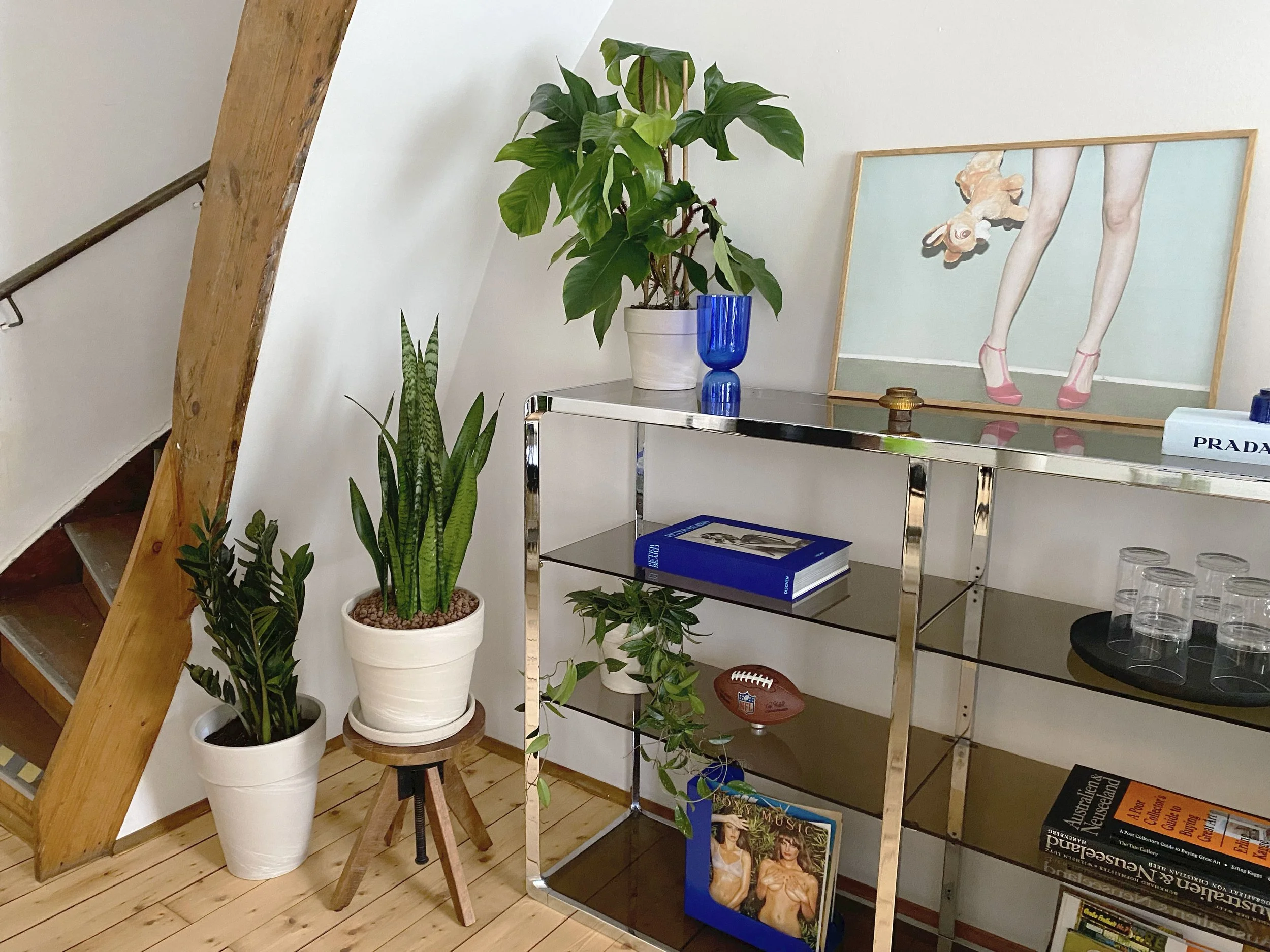  Various shelf plants complement the styling at Intermate Hamburg. 