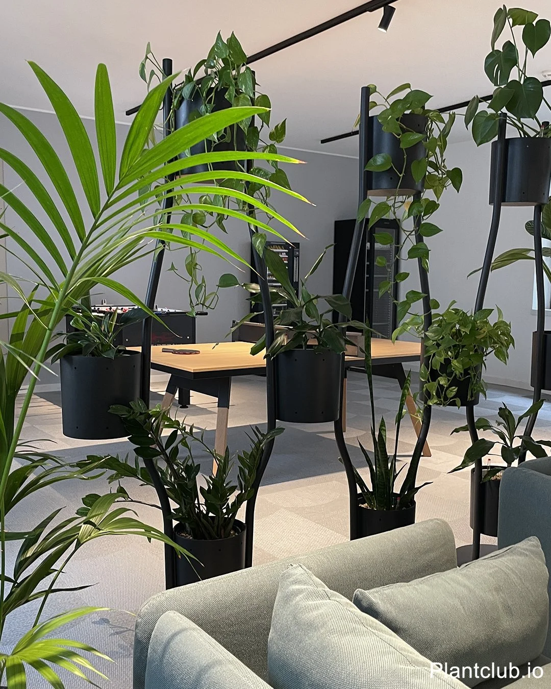  Green filled divider from Brunner group 