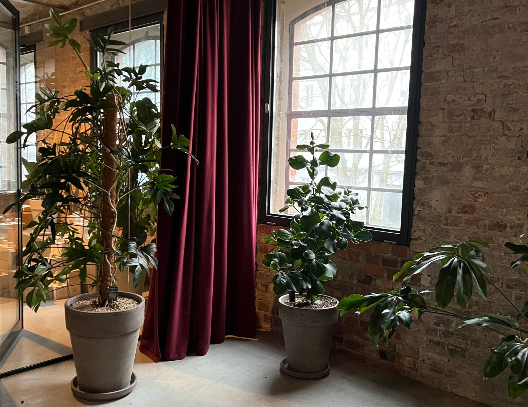  The lush green of the plants blends in perfectly with the interior.  