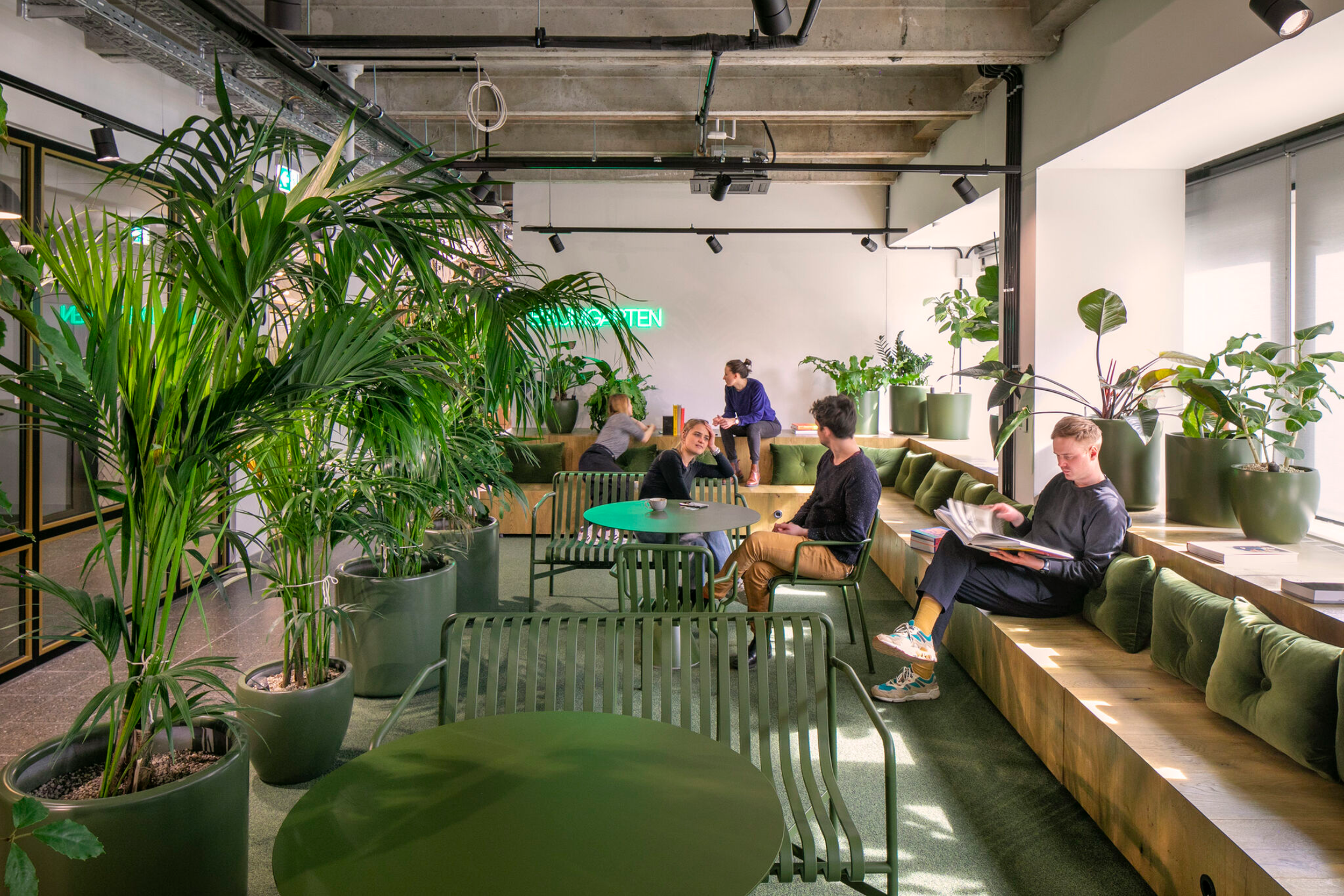  Plants in the office can contribute to employee wellness in an assortment of ways. Photo courtesy of Daria Scagliola. 