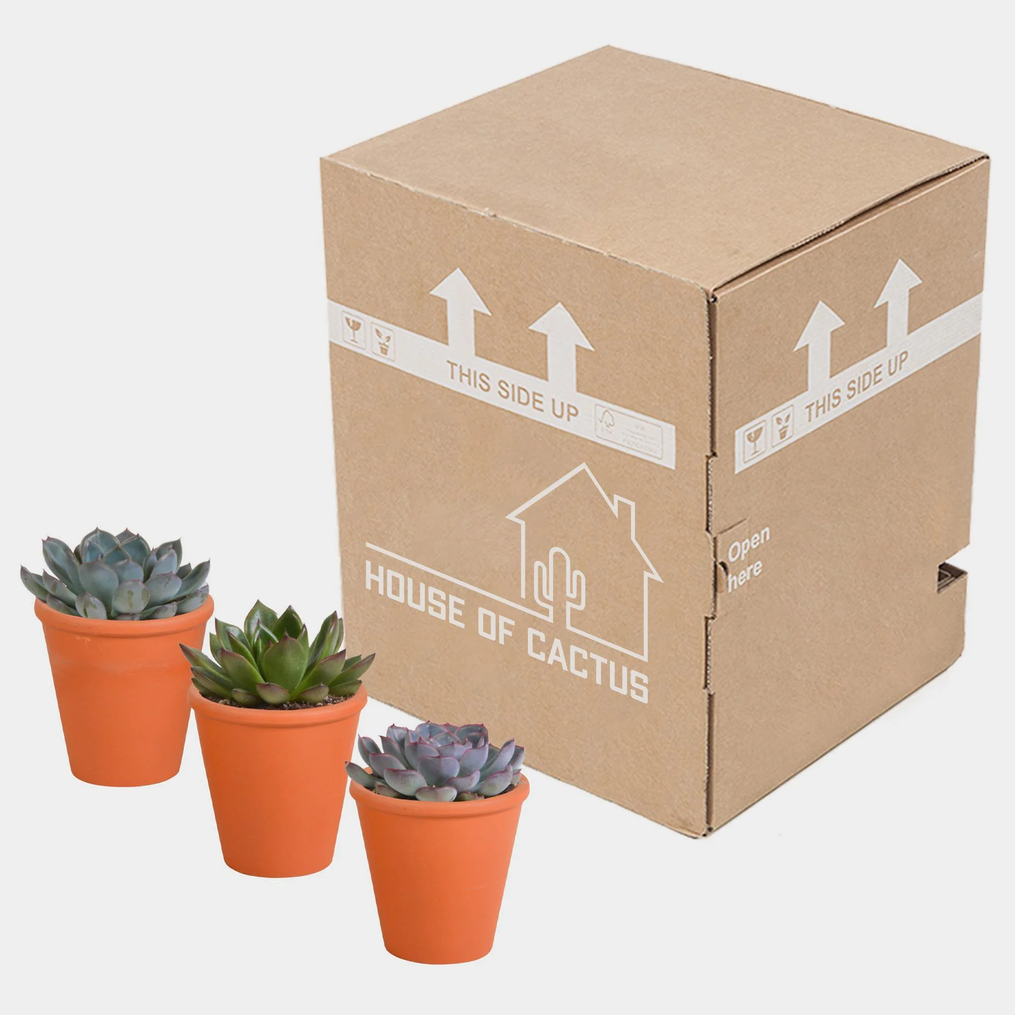   A holiday gift that can sit on a desk all year round.   