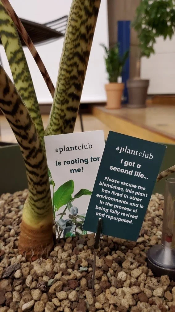  Plantclub uses markers to show which plants have been reused and given a new life! 