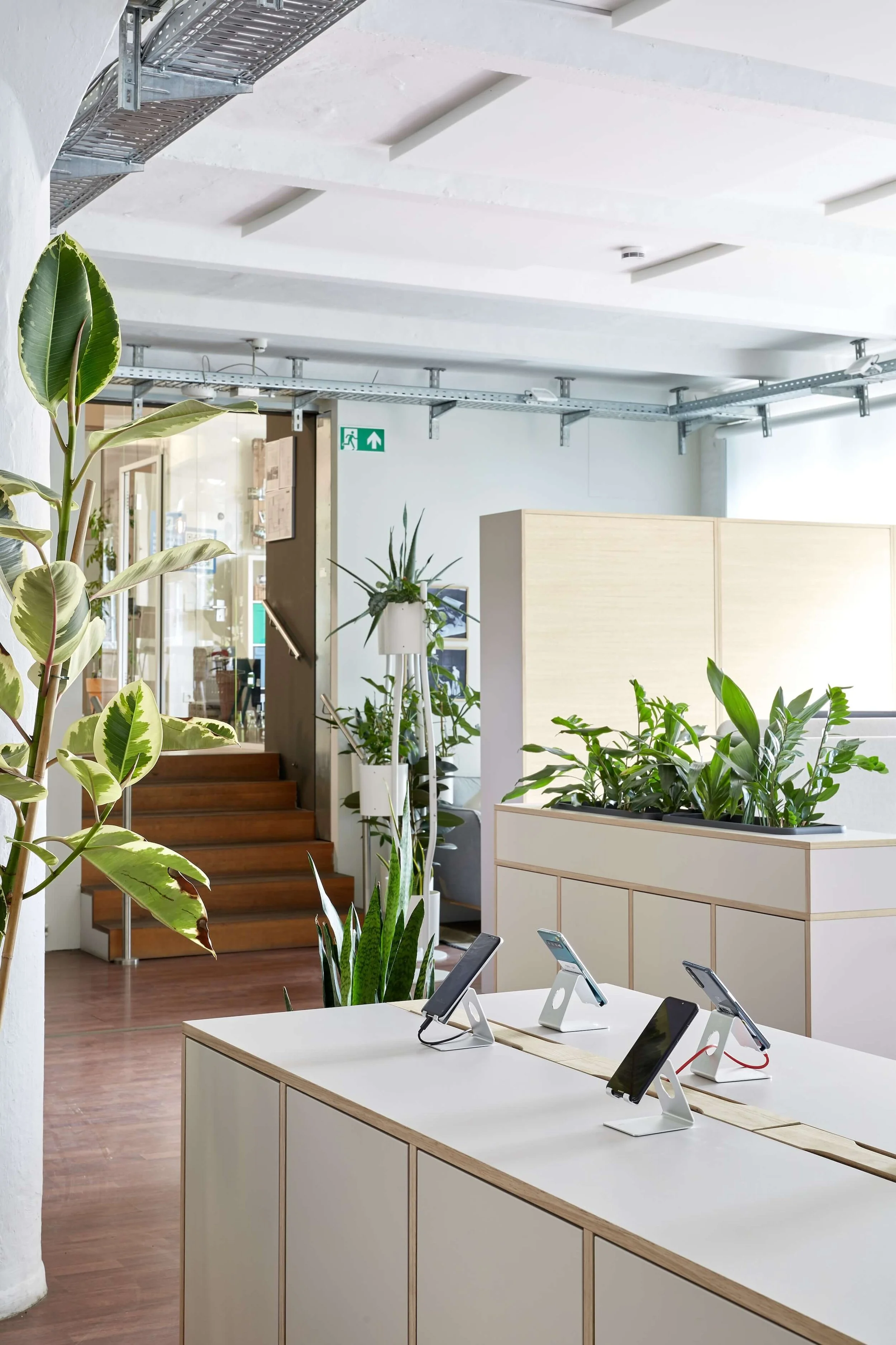 Harmonically designed interior of the Thalia office in Berlin.