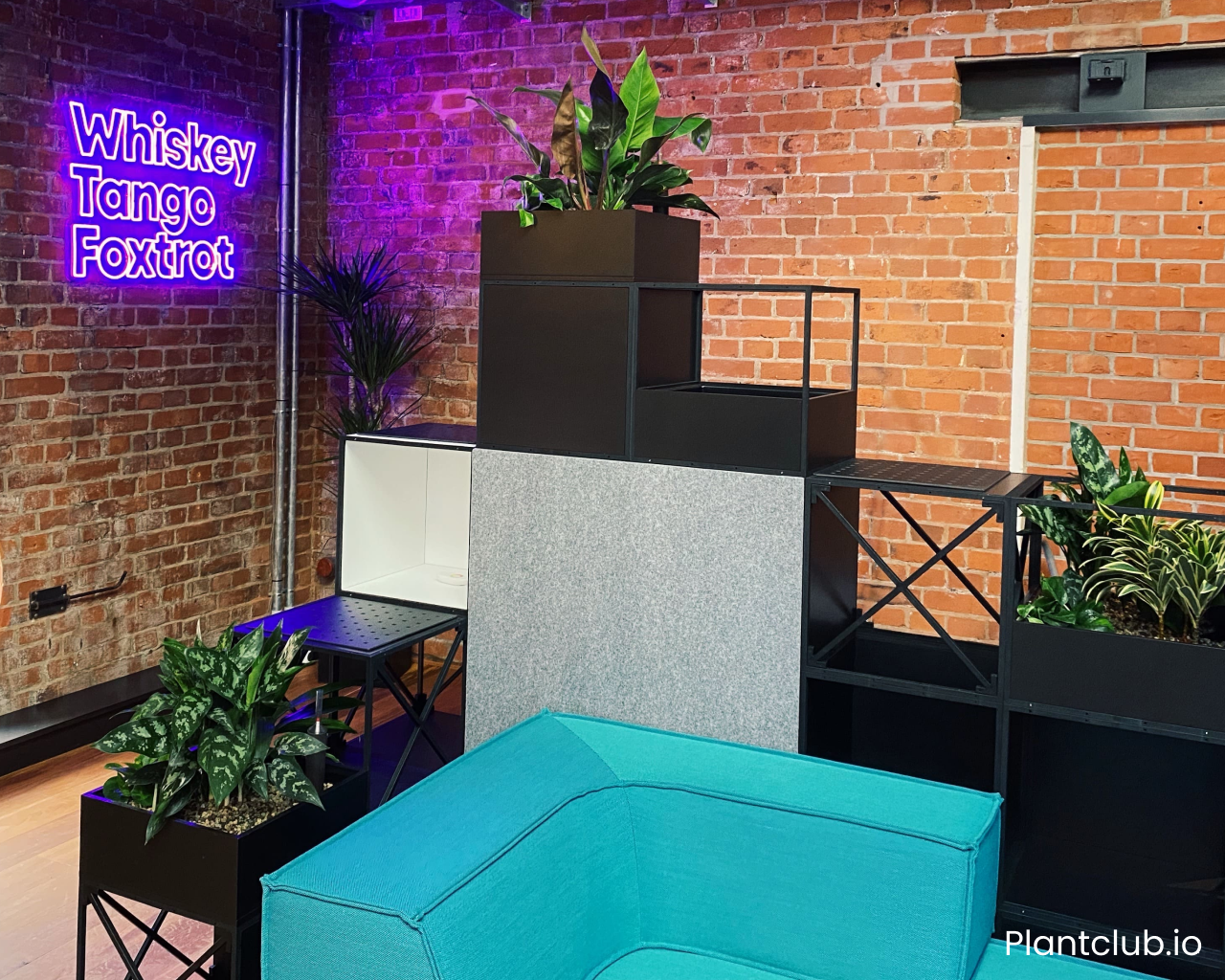 Indoor space separated by planters used as a room divider