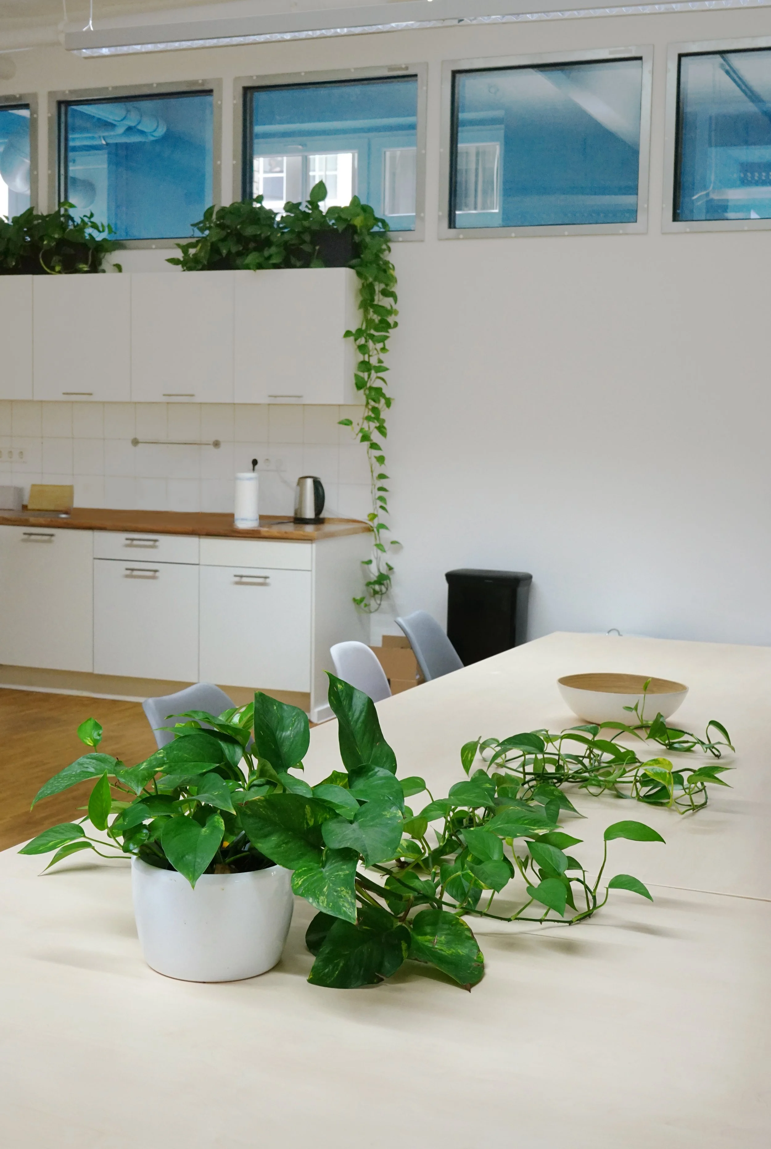  The addition of trailing plants turns the kitchen into a lush space to take a break. 