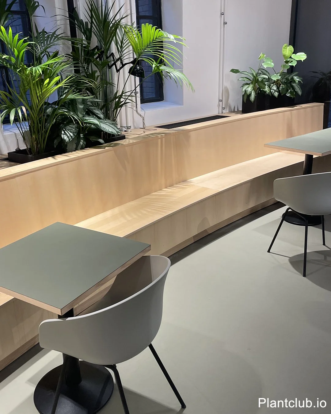 Installation of tropical plants in a cafeteria