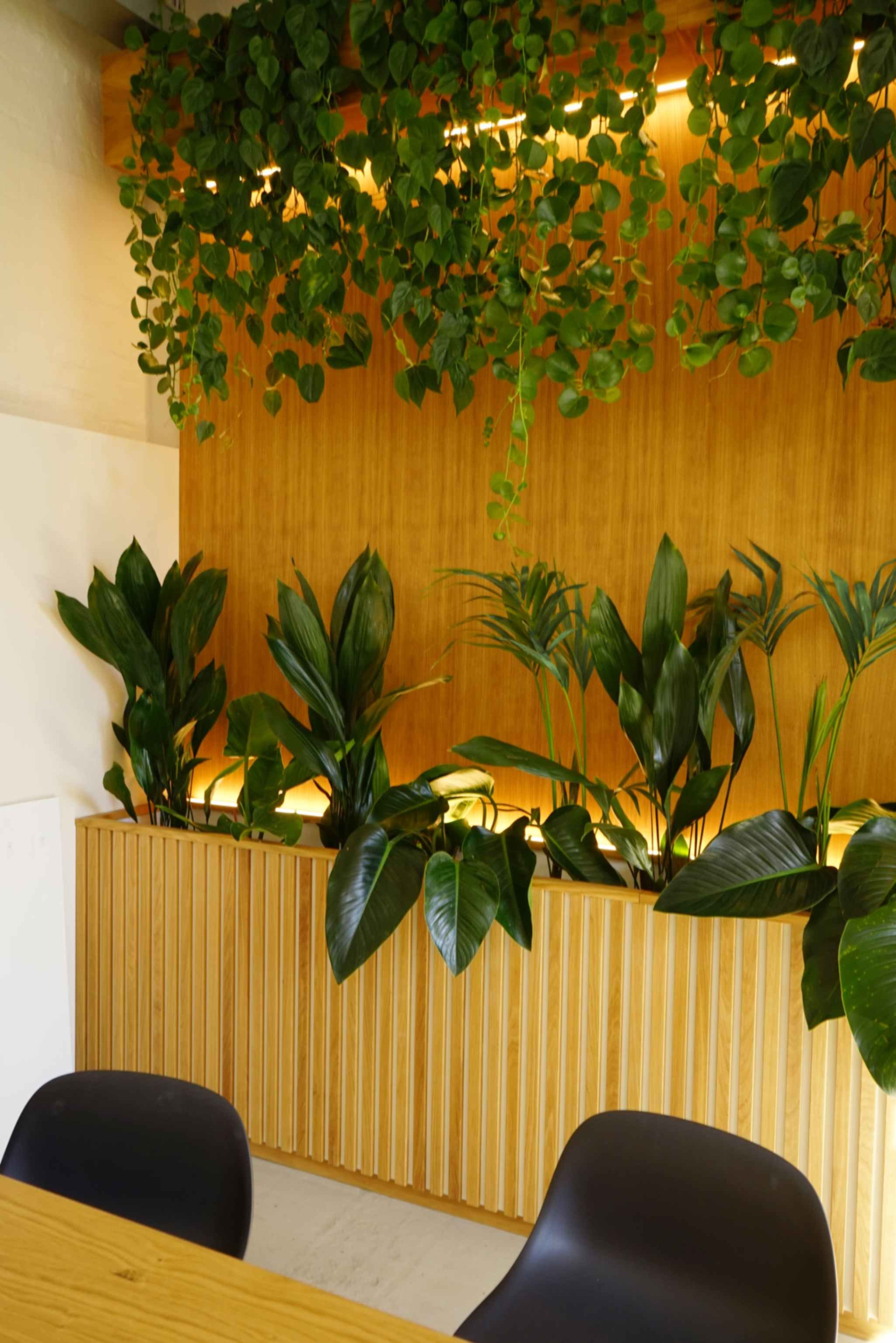  Seating at one end of the kitchen, where natural elements are on full display. 