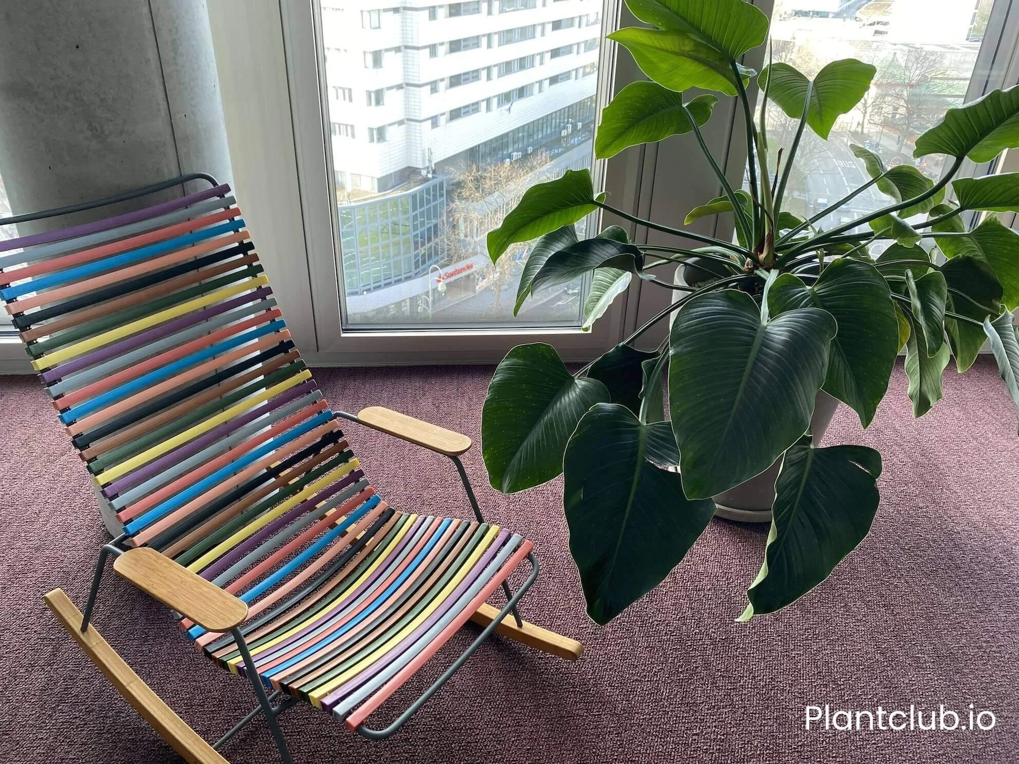 Arm chair next to a large potted plant at the Cushman & Wakefield office in Berlin