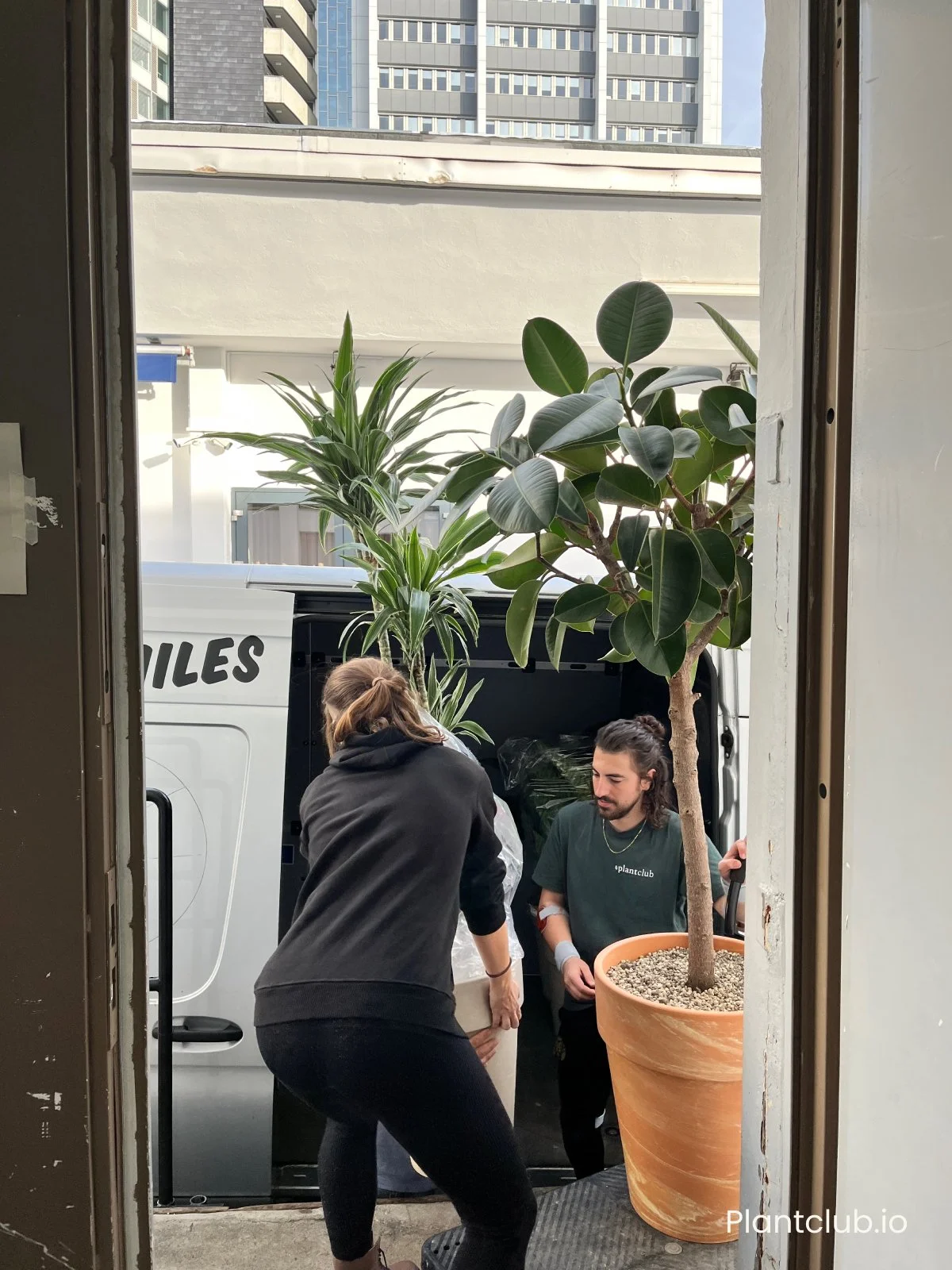  The Plantclub team in action. 