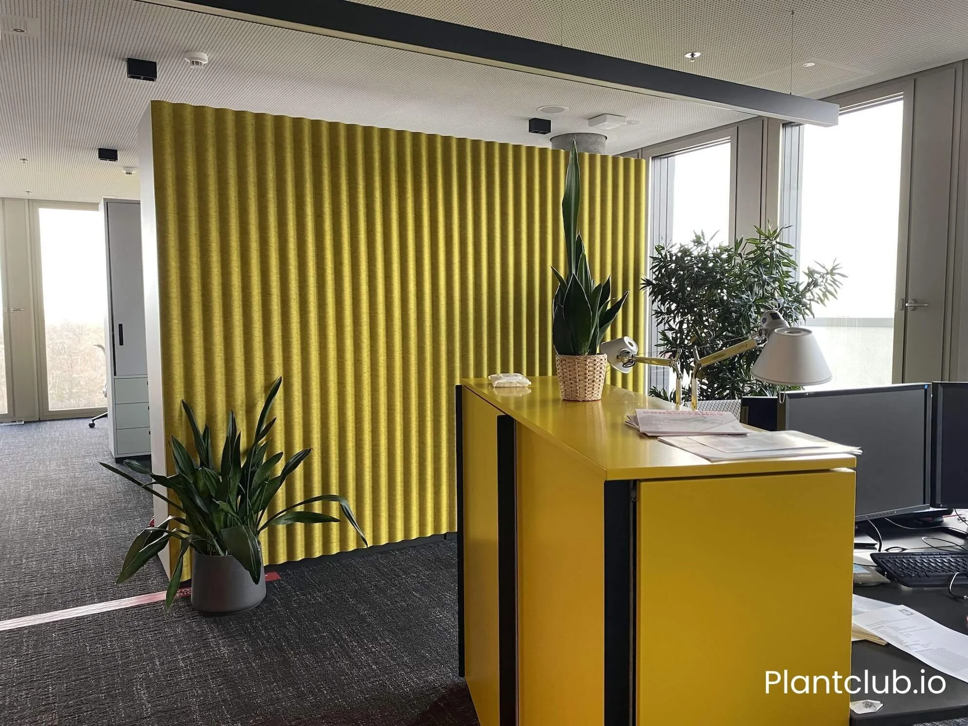 Potted plants next to a yellow welcome desk at the Cushman & Wakefield office in Berlin