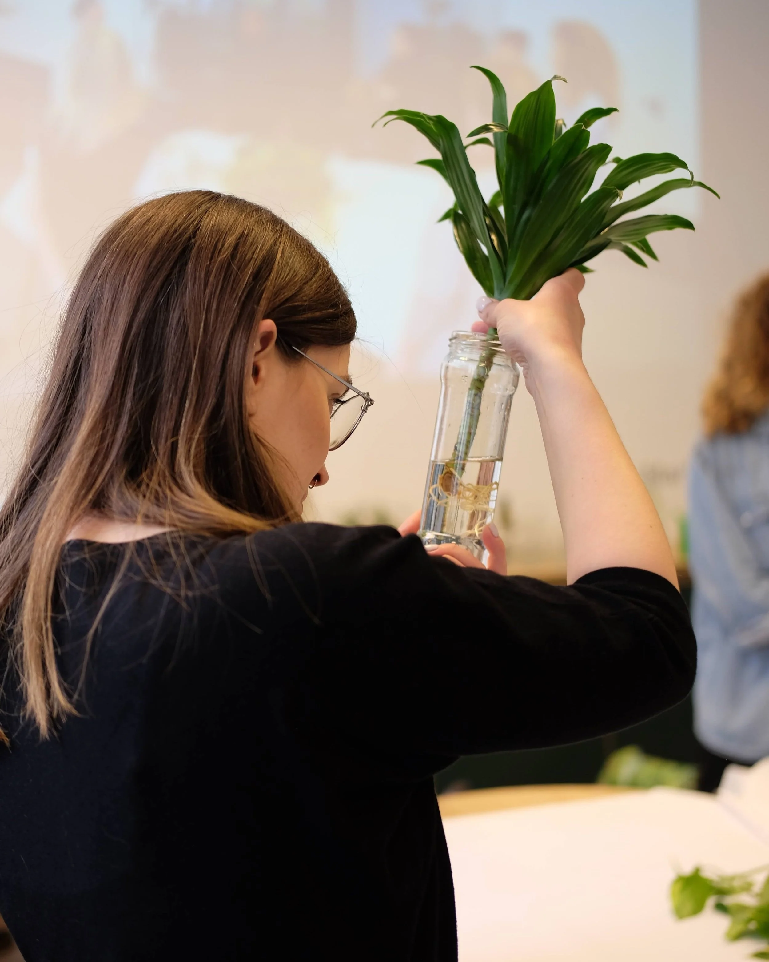  Propagating is a great way to get familiar with a plant’s root system. 