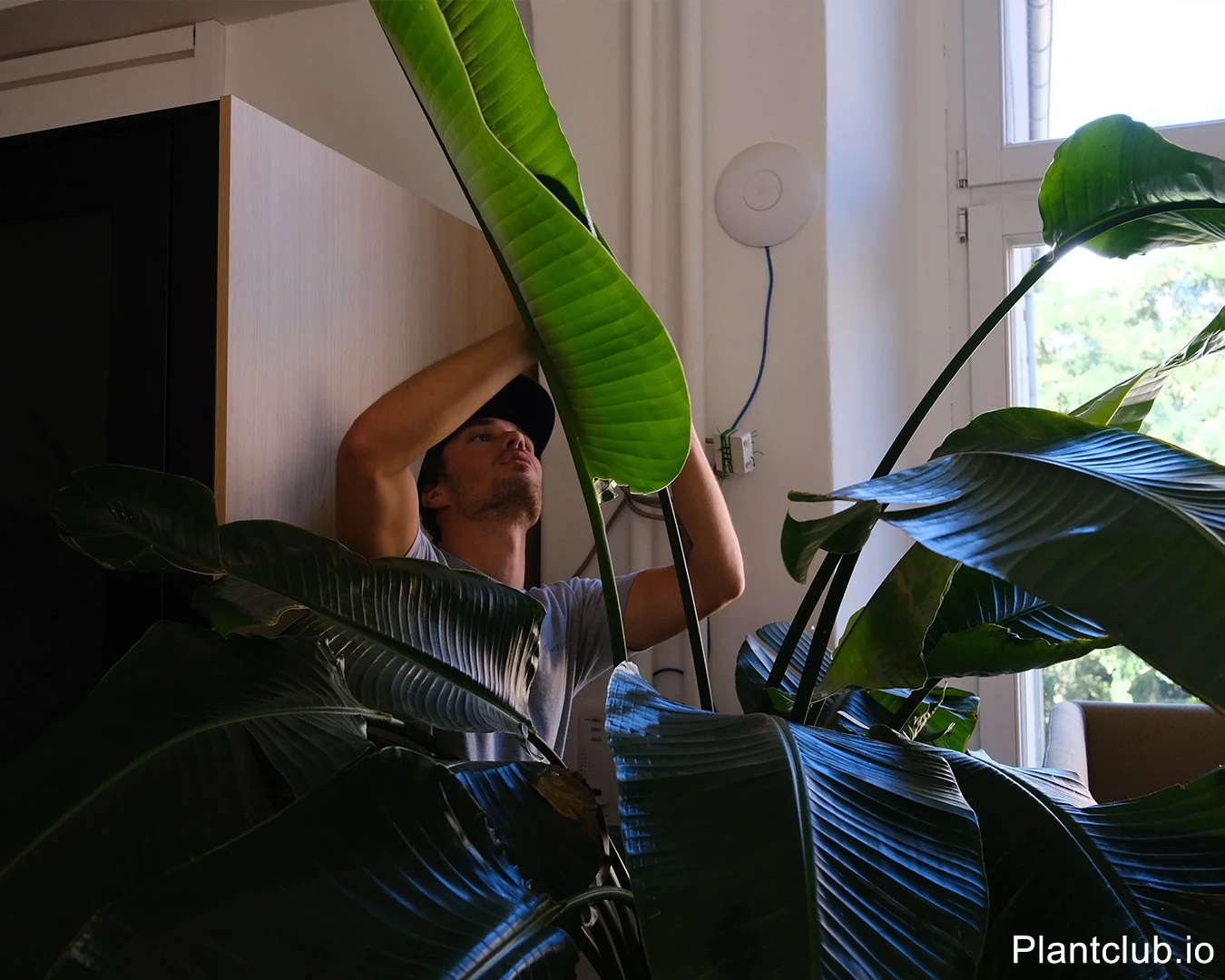  Plant care is our superpower. 