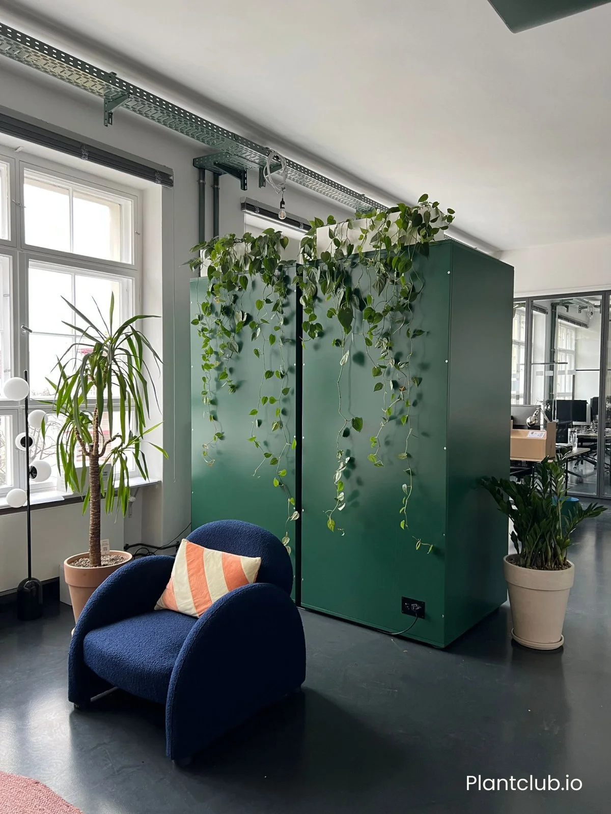  Ceren’s plant design at the HierFoods office in Berlin. 