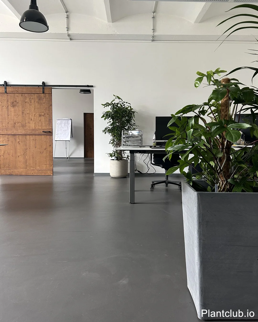  Flexibility meets function: plants on the move at Startup insider 