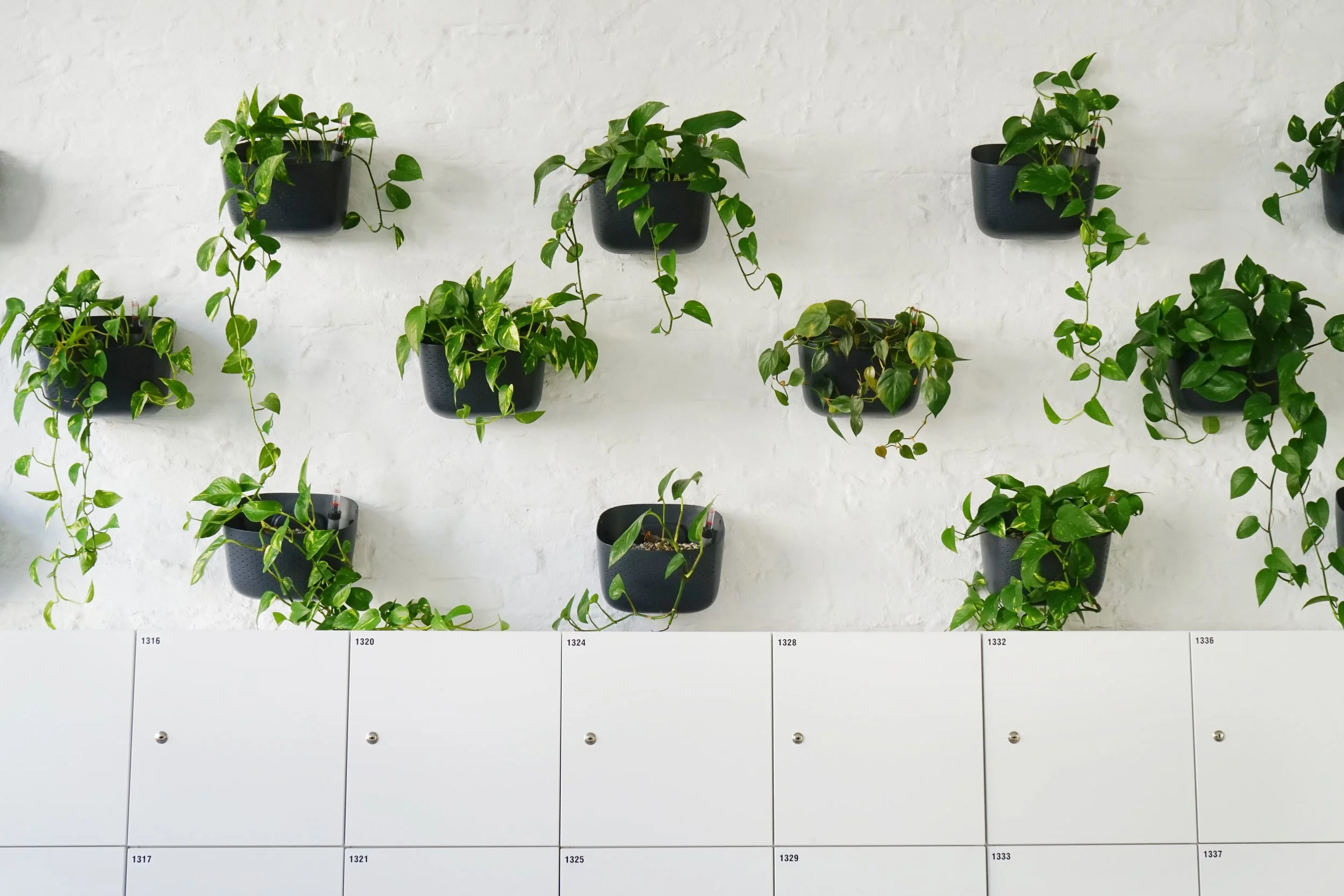  Wally Grow planters make up this office’s green wall. 