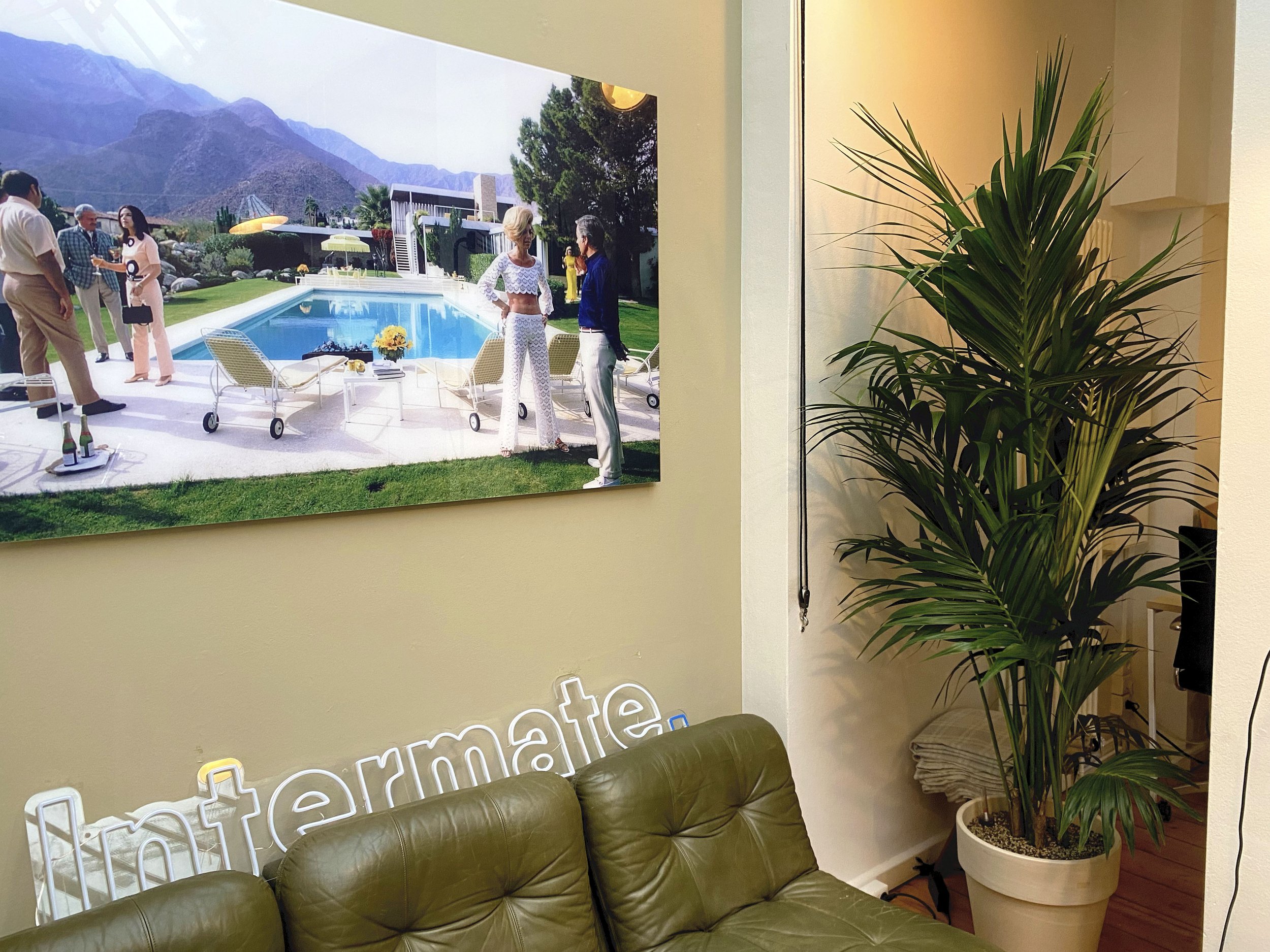  Art ties the Intermate Hamburg space together. This Kentia palm and neutral pot complement the color scheme. 