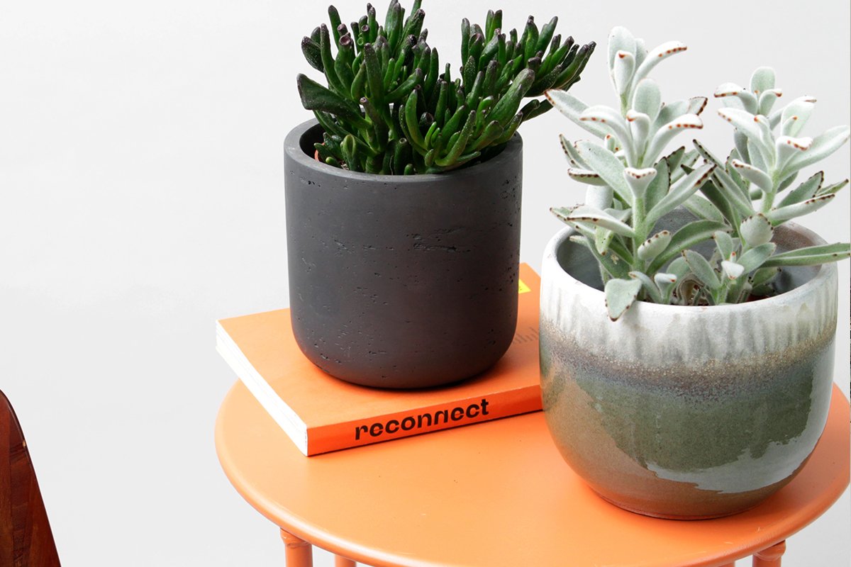  Little greens, big style. 