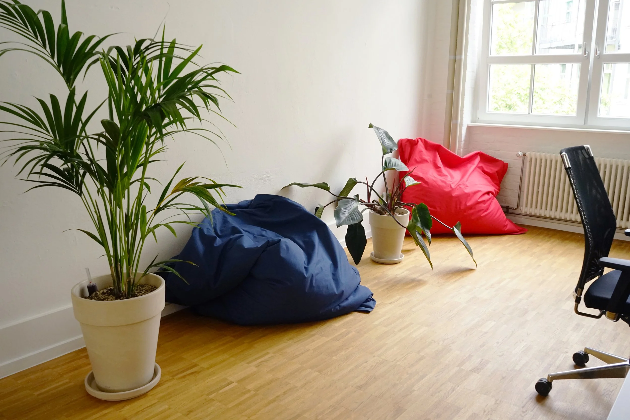  With so much space to work with, our designer chose plants like the philodendron red beauty that sprawls outwards. 