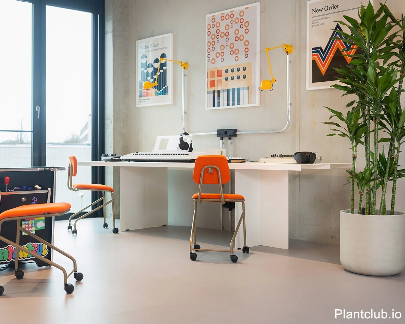 Large Dracaena in a premium pot next to industrial mobilar in a concrete office