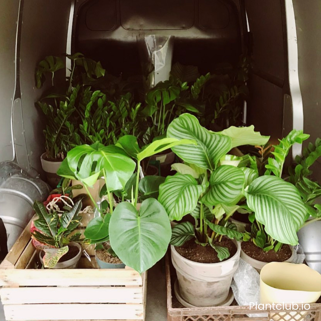  A snippet from the early days of hand-delivering orders for the Employee Plant Store. 