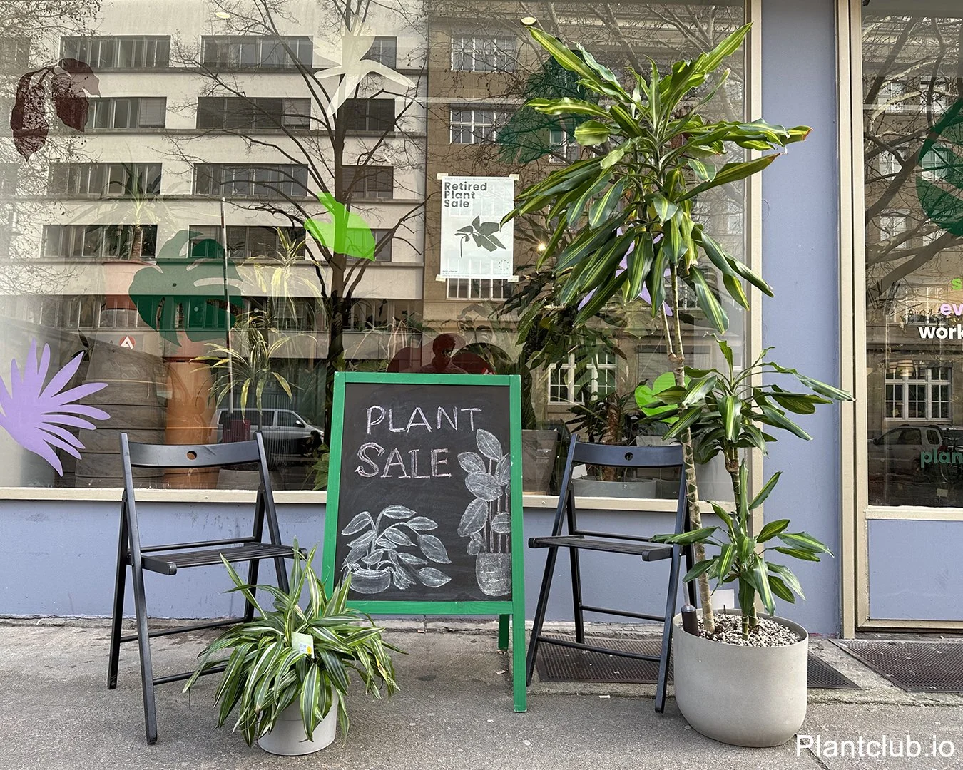 Retired plants sale happening every month in Berlin Mitte