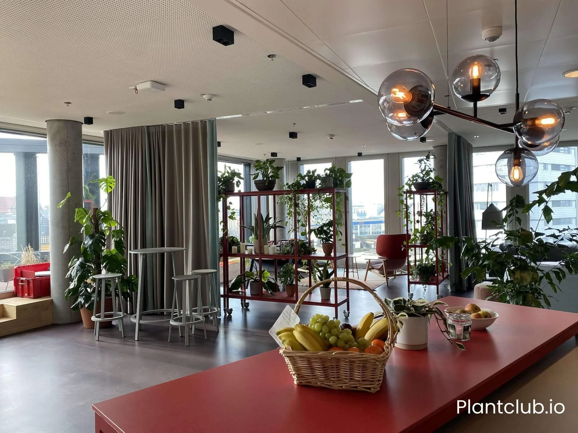 Fruit bowl and potted plants at the Cushman & Wakefield office in Berlin