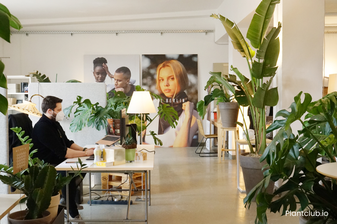 Employee working in an office with many plants.