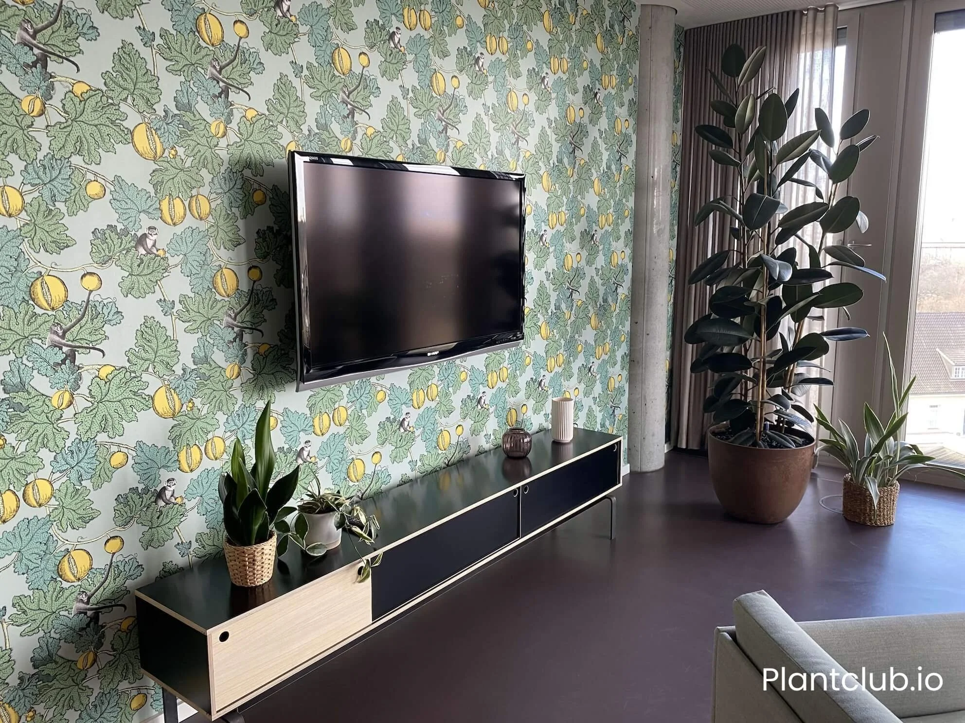 TV and office plants at the Cushman & Wakefield office in Berlin