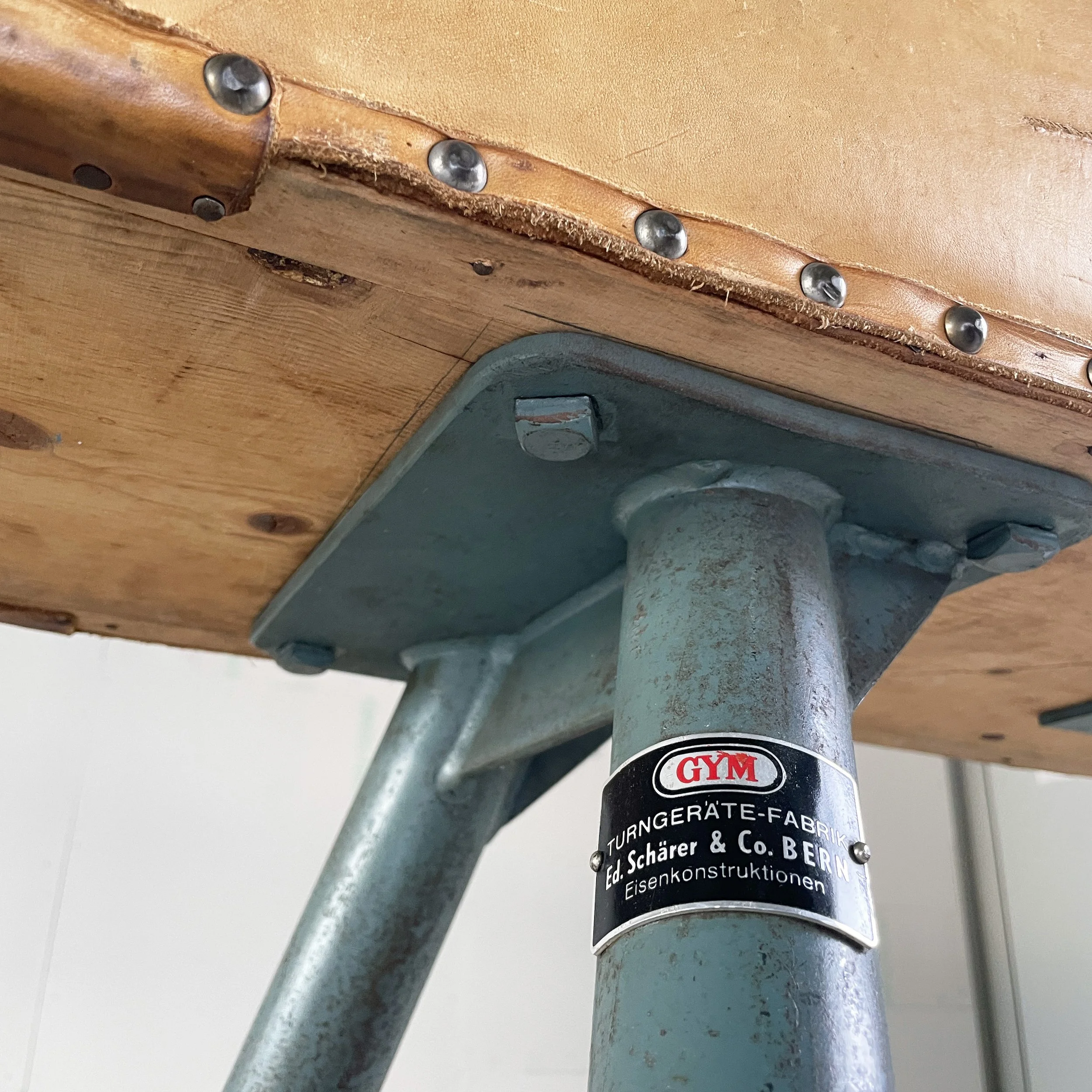 Modern Era_Pauschenpferd.6.JPG