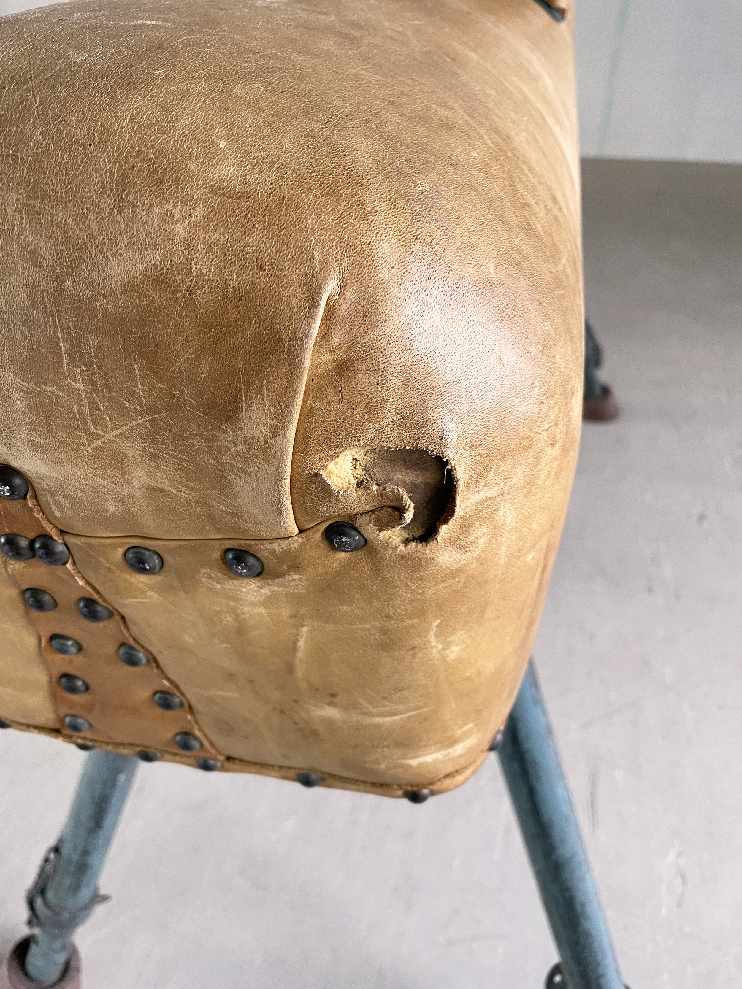 Modern Era_Pauschenpferd.13.JPG