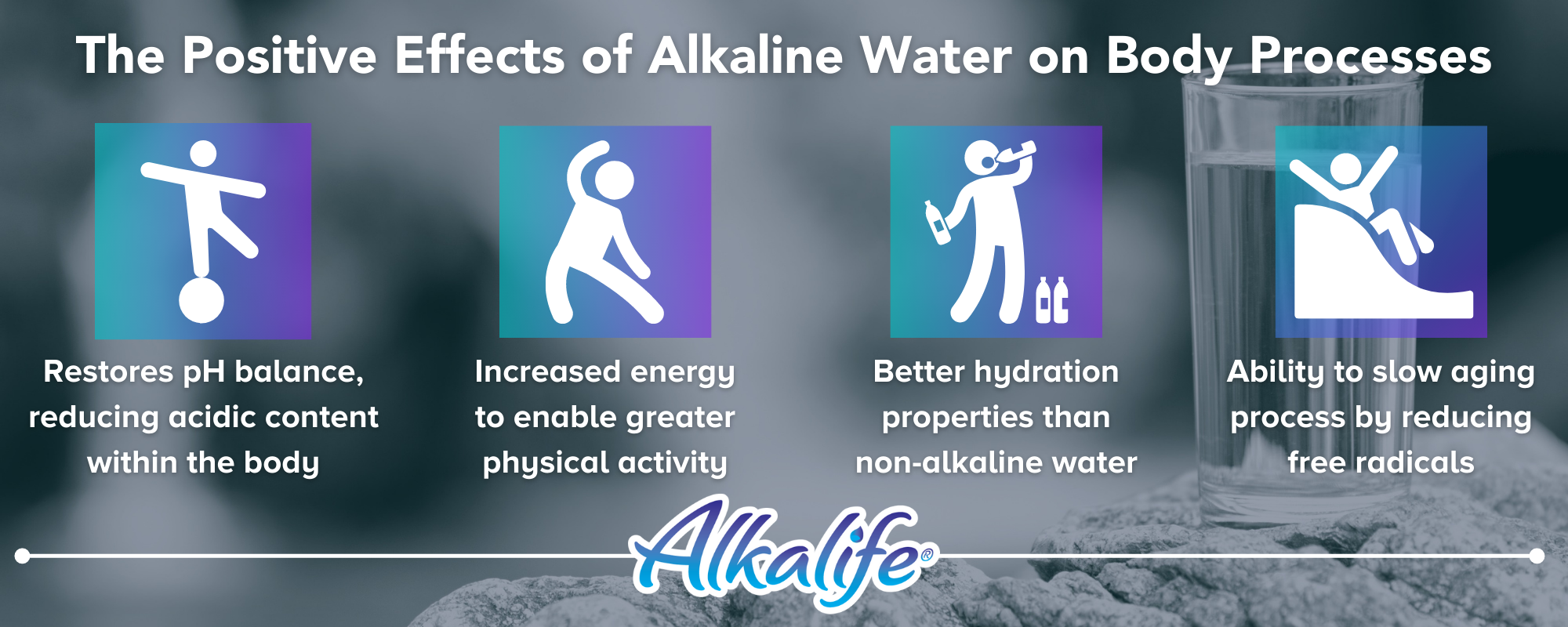 Alkalife_2021_Infographic.png