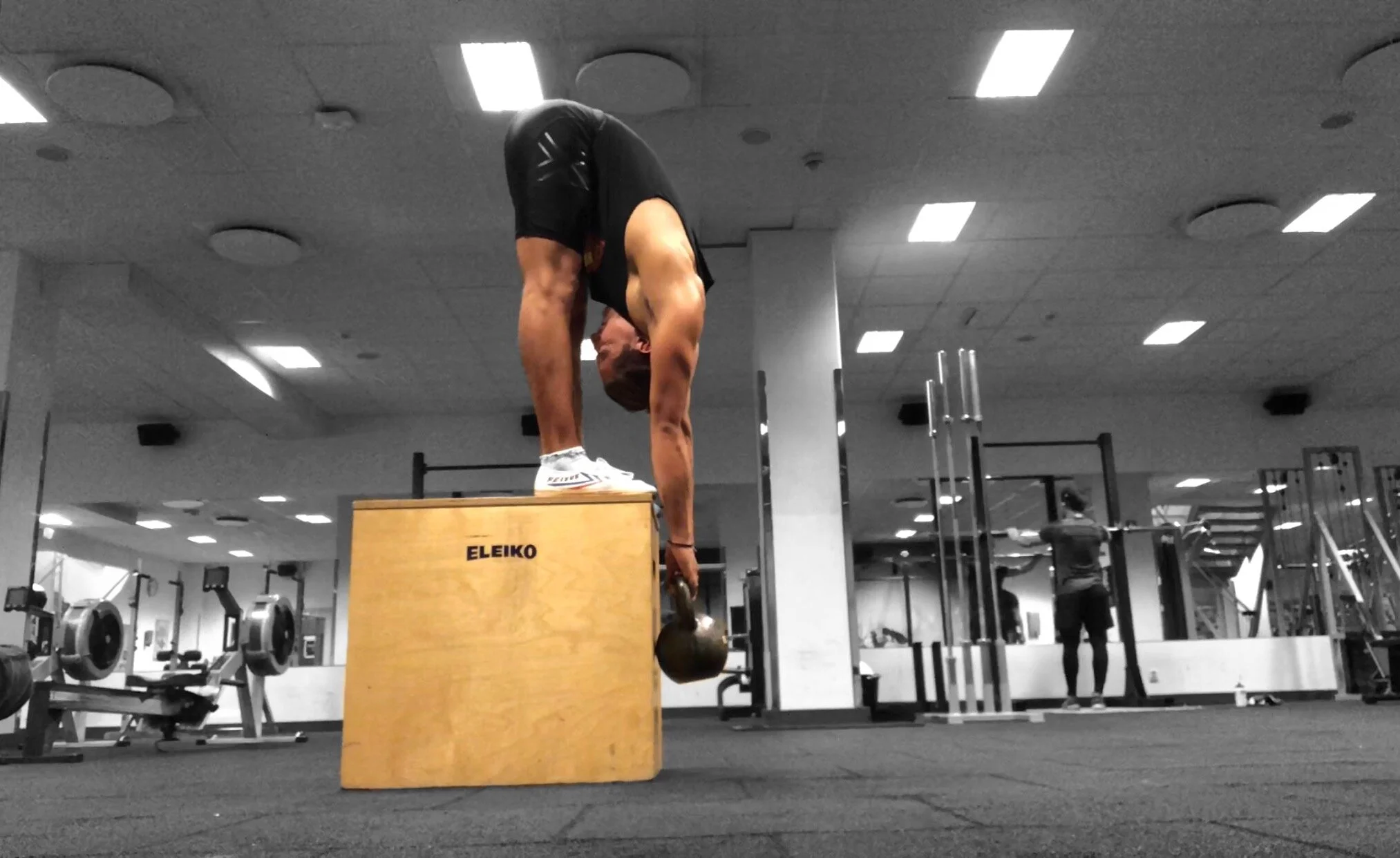 Loaded Progressive Stretching  -  What, how and why?