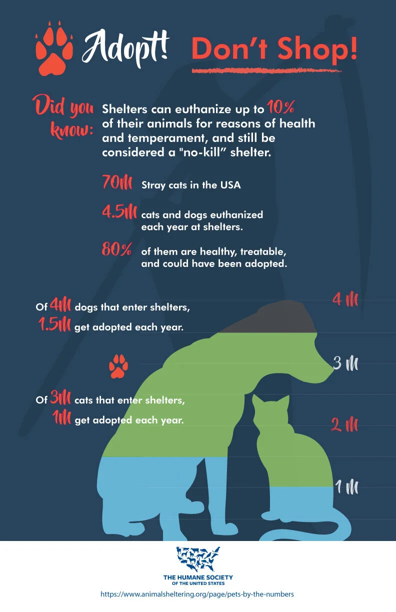 HSUSinfographic.jpg