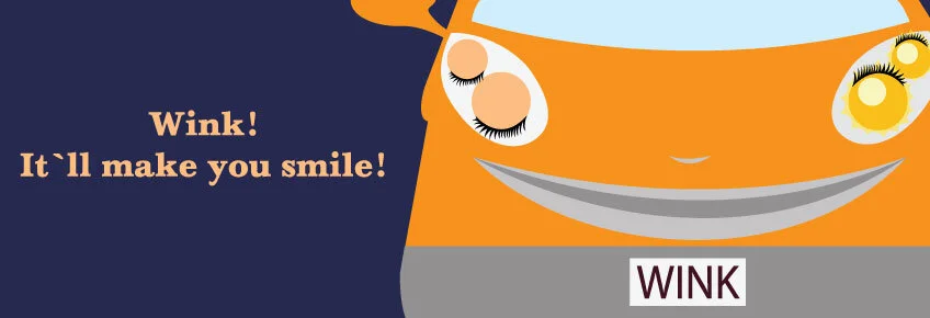bumpersticker850.jpg