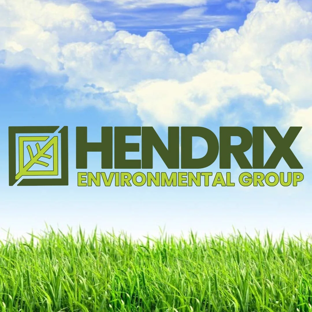 Hendrix.jpg